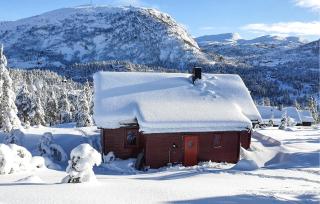 Amazing Home In Tjørhom With Sauna - 1