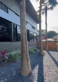 Acqua Rooms & Living - Ko Samui - 8