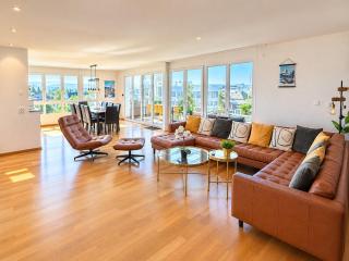 Penthouse Zurich City AC Free Parking Airport - 0