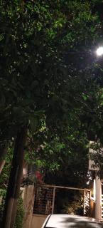 Beit jihad - 2