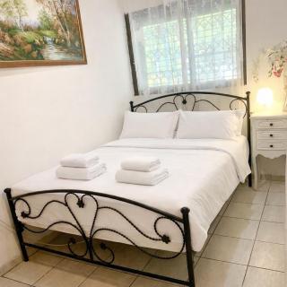 Alona's Apartments- Garden Apartment - 3