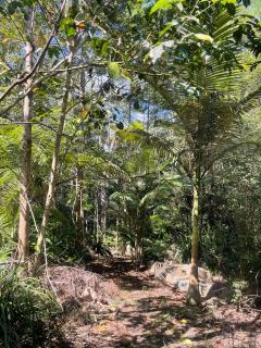 Rainforest Bungalow - 7