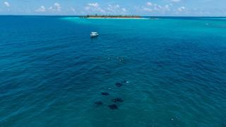 Fushifaru Maldives - 2