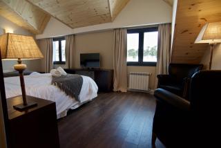 Grand Hotel Caviahue - 4