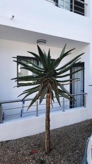 Teres Modern Nest - 4