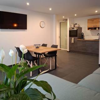 Nexpo Forum Apartment, 5 Min zur Messe + Parkplatz - 0
