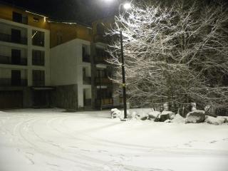 Apartment #2 in Mtsvane Veli - 1