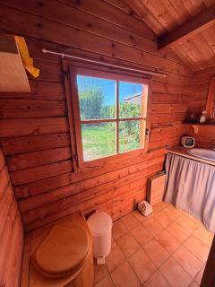 Chalet insolite au bord d'un étang - 1