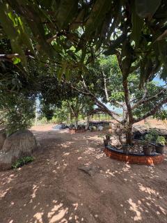 Agro Villa Nature Escape - 3