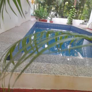 BaywoodGoa -200 meters from Morjim Beach - 6