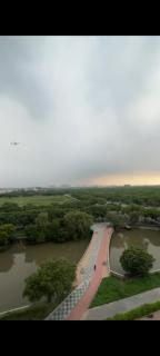 TheLakeviewcanopy - 4