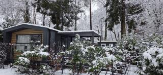 Master Escapes Veluwe - chalet met airco en omheinde tuin - 9