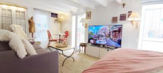 PARIS AUTHENTIC HOUSE studio with green courtyard - 7