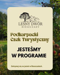 Leśny Dwór Bieszczady - 9