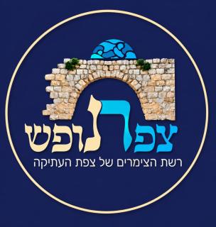 סוויטות רות 2 מבית "צפת נופש" רשת הצימרים בצפת העתיקה - Ruth's Suite 2 from "Saféd Nofesh" - 1