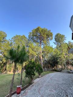 Shimla Resort Abbottabad - 7