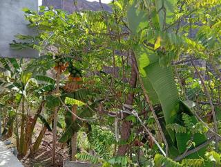 Quinta do Planalto Hotel - 7