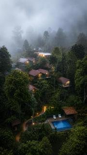 Edens Munnar - 0