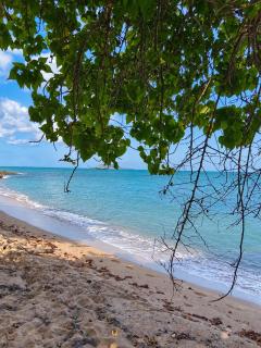 Studio tropical climatisé avec piscine, plage à pied - 9