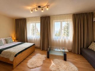 Cabana Alina - 8