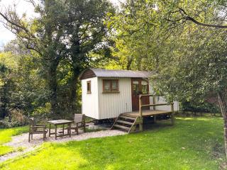 Lilliput - Delightful 1-bedroom shepherd's hut - 9