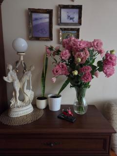 WROasis Apartment, Free parking, good location, near city centre, free Wi-Fi - 3