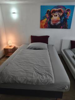 120 qm Apartment,WLAN, TV free Parking,24 h check-in, ,full kitchen,Untergeschoss ,3 Schlafzimmer -Wohnzimmer integriert - 8