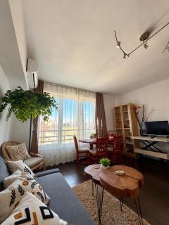 New Two Bedroom apartment with balcony - 9