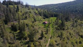 Childhood's Dream Cabin - 0