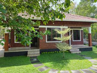 Forest stay - 4