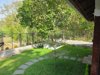 Forest stay - 3