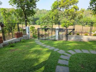 Forest stay - 2