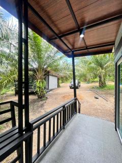 Palm tree resort - 4