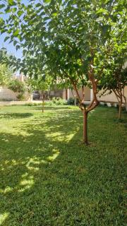 AL Mirador Fezouane دار المنظر فزوان - 2