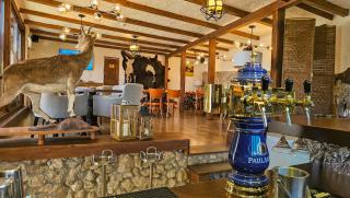 Alpine Castle Hotel - 2