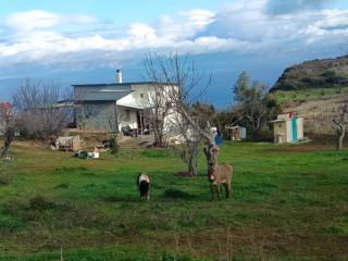 Batzanemi Guest House and Farm - 0