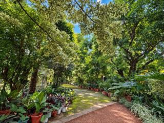 One bedroom Shanty botanical by The Prime Escape - Moshi - 2