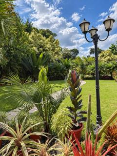 Shanty Botanical by The Prime Escape - 3