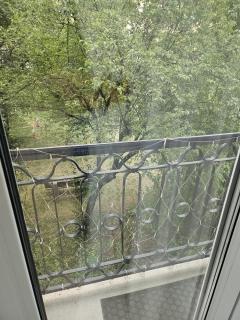 Casa din Parc - 8