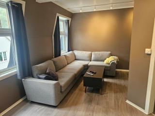 Rjukan Leilighet 50m2 - 7