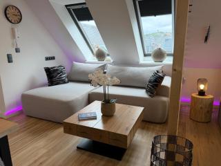 Modernes Panorama Apartment im Zentrum von Plauen - 9