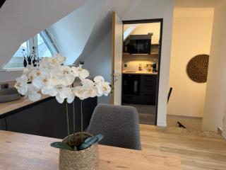 Modernes Panorama Apartment im Zentrum von Plauen - 5