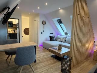 Modernes Panorama Apartment im Zentrum von Plauen - 6