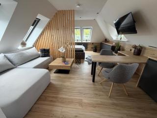 Modernes Panorama Apartment im Zentrum von Plauen - 7