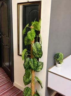 Aura Suites - 5