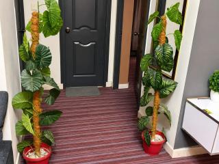 Aura Suites - 1