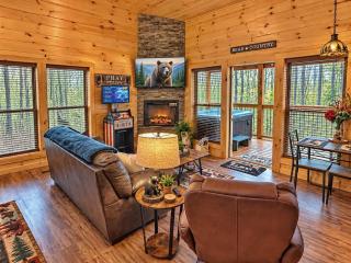 Quiet~Peaceful~fast WIFI~Dollywood, F/P hottub#11 - 0