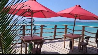 Playa Tortuga Carey - 0