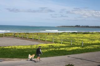 Esplanade Escape Absolute Beachfront WIFI-NBN - 6