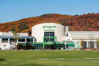 Phoenix Hotel Pyeongchang - 7